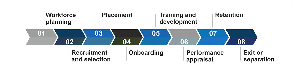 Kyro Global Tech web designer